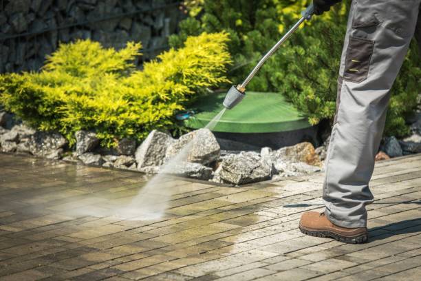 Best Animal Enclosure Cleaning  in Willard, UT