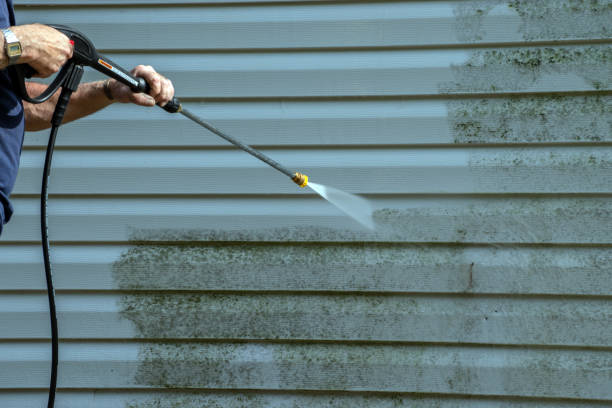 Best House Exterior Washing  in Willard, UT
